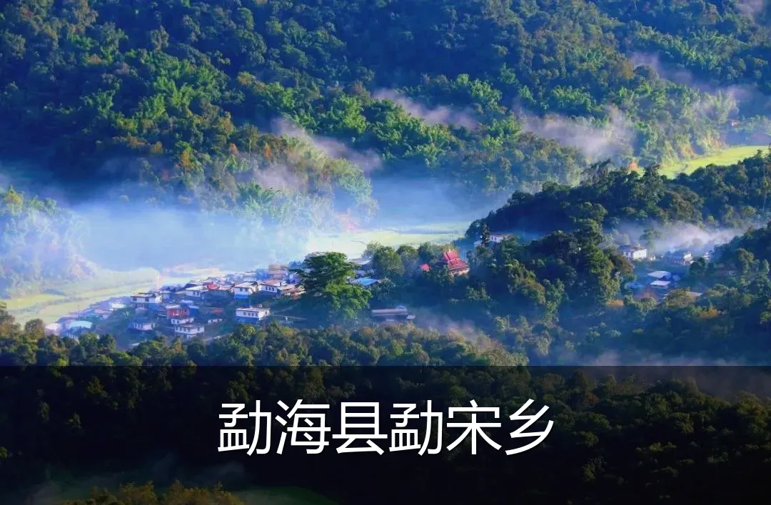 勐海县勐宋乡