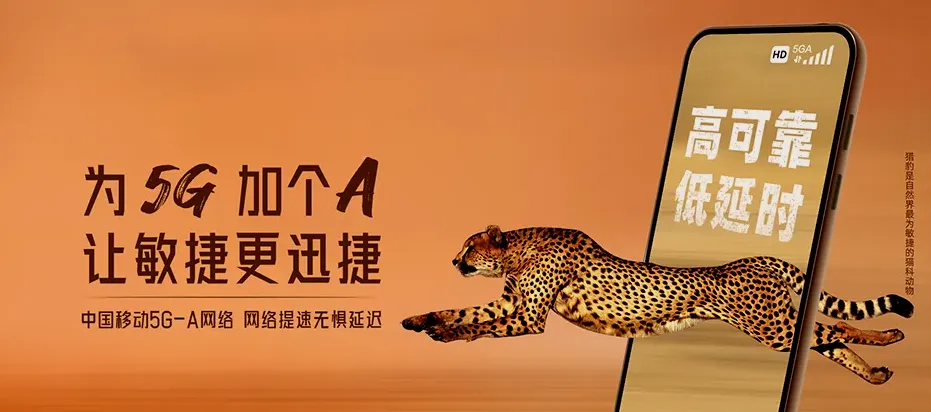 勐海县勐海县布朗山乡 移动宽带